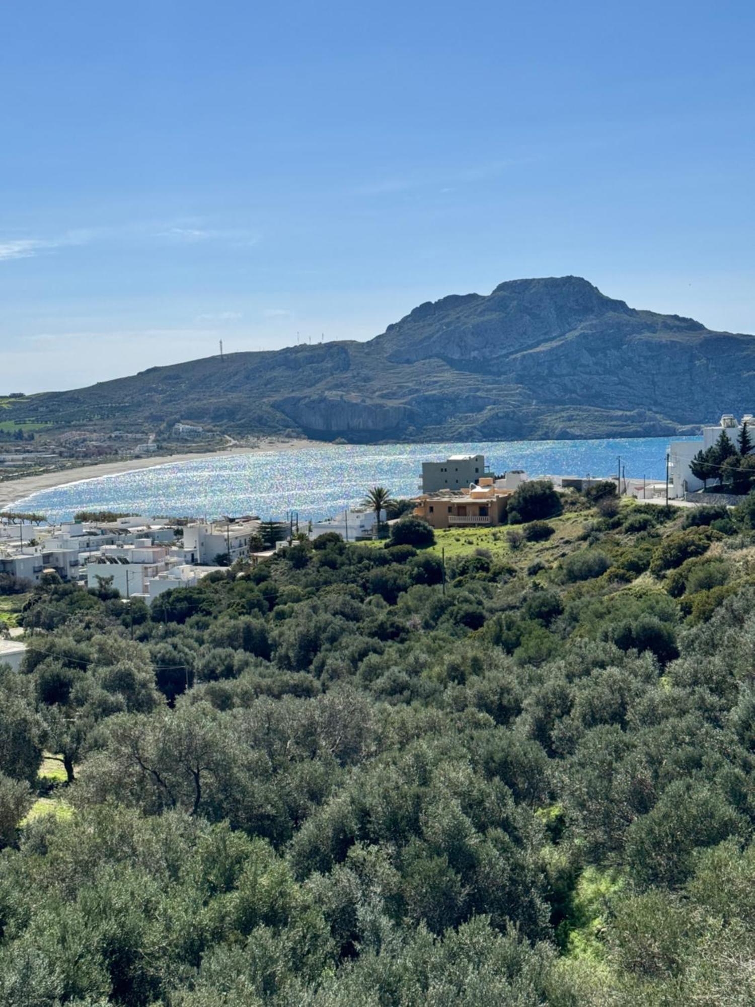 Olive Grove Apartment Plakias Luaran gambar