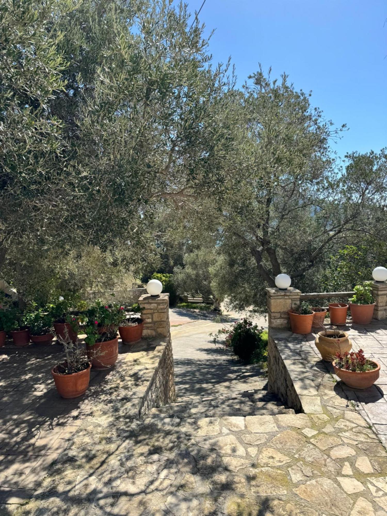 Olive Grove Apartment Plakias Luaran gambar